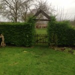 IMG_1053